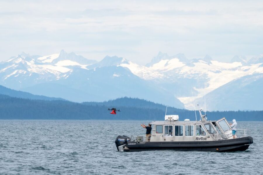 Hoonah: Icy Strait Whale Watch with Drone Filmography - The Itinerary Breakdown