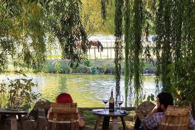 Horse Country Estate and Vineyard Wine Tasting Tour - Why This Tour Works Well