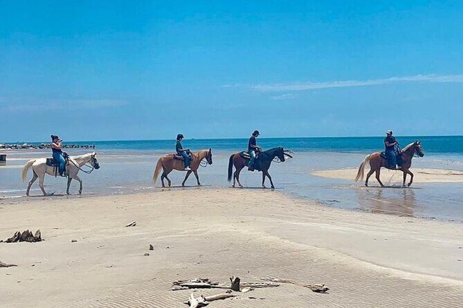 Horse Riding Tour at the Beach in Miami - Authentic Perspectives from Past Riders