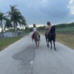 Horseback Experience in Miami - Who Will Love This Experience?