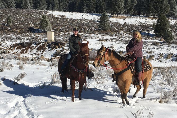 Horseback Riding Adventure from Reno - The Authenticity Factor