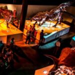 Houston: 1-Day or 3-Day Museum Pass - FAQ