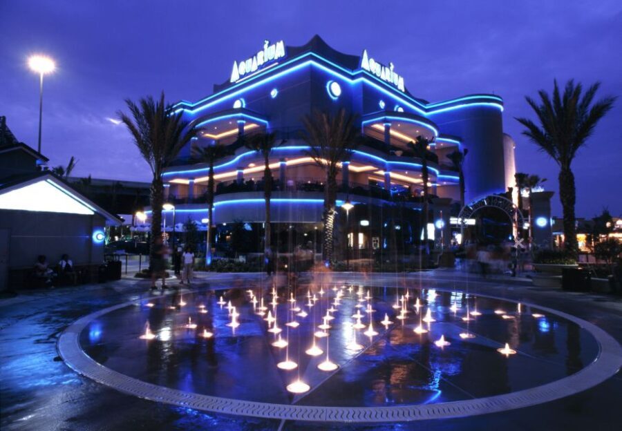 Houston: Downtown Aquarium All Day Pass - Animal Encounters and Exhibit Highlights