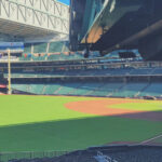 Houston: Houston Astros Baseball Game at Minute Maid Park - Who Should Consider This Experience?