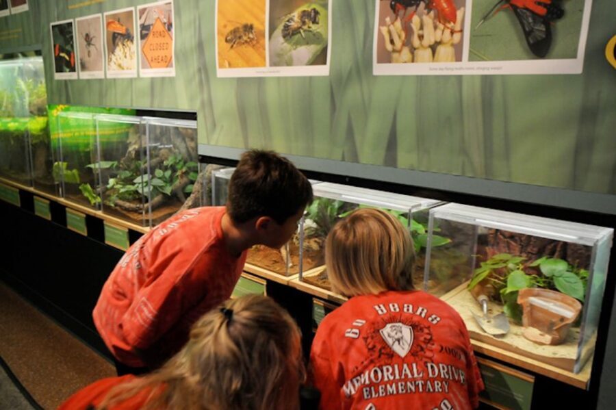 Houston Museum of Natural Science: Cockrell Butterfly Center - The Insect Exhibits and Interactive Features
