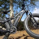 Humboldt: Electric Bike Rentals (4-Hour or Full Day options) - What You Can Expect on Your Ride