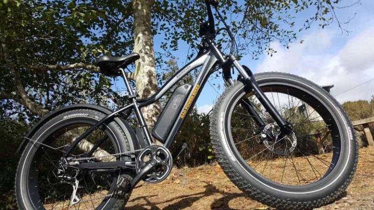 Humboldt: Electric Bike Rentals (4-Hour or Full Day options) - What You Can Expect on Your Ride