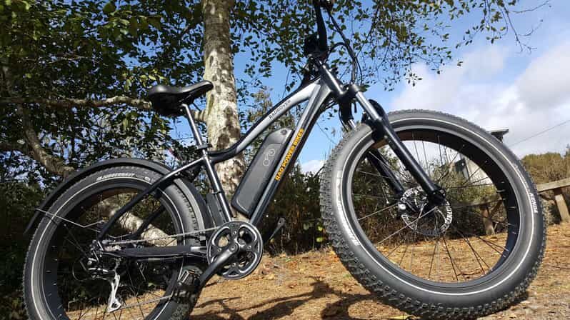 Humboldt: Electric Bike Rentals (4-Hour or Full Day options) - What You Can Expect on Your Ride