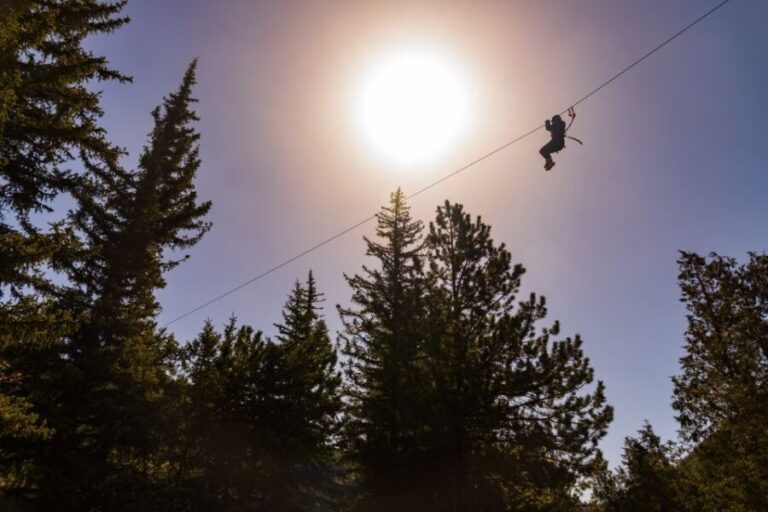 Idaho Springs: Clear Creek Ziplining Experience - Who Should Consider This Experience?