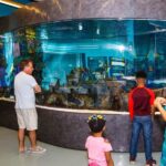 IMAG History & Science Center: Skip-the-Line Ticket - Who Will Love This Experience?