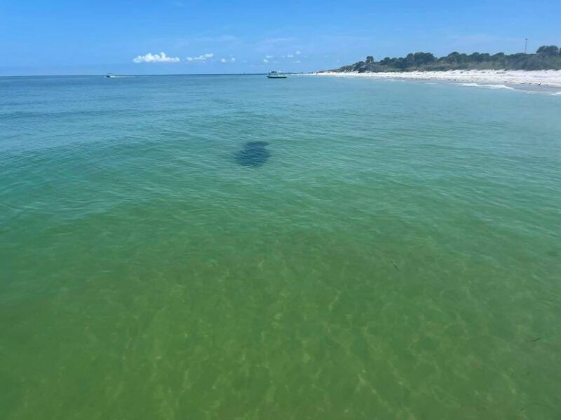 St. Petersburg, FL: Private 5-Hour Egmont Key Boat Tour - Discovering Egmont Key: History and Natural Beauty