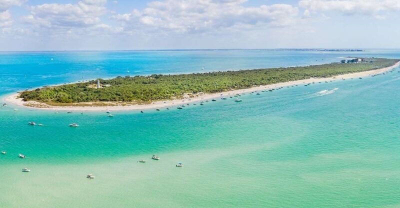 St. Petersburg, FL: Private 5-Hour Egmont Key Boat Tour - Snorkeling and Shelling: Connecting with Marine Life