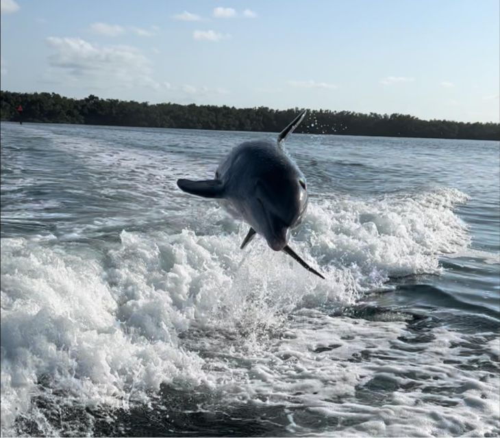 4 Hour  Snorkel & Sandbar Adventure - Why This Tour Offers Great Value