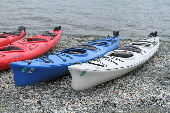 Inside Passage Sea Kayaking in Haines - Who Will Love This Experience?