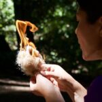 Introduction to Wilderness Survival Clinic in Santa Cruz - Practical Details