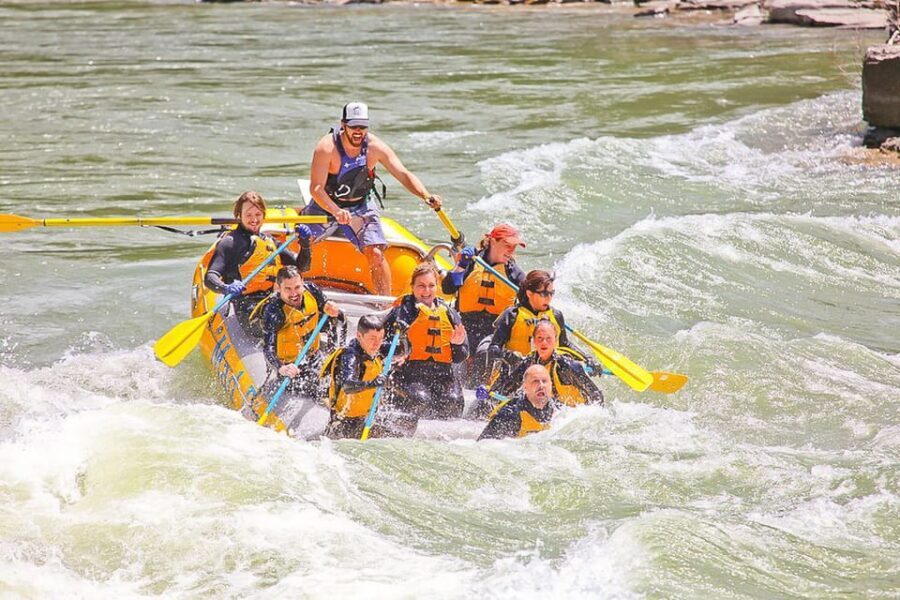 Jackson: 8-Mile Small-Boat Whitewater Rafting Trip - Highlights of the Experience