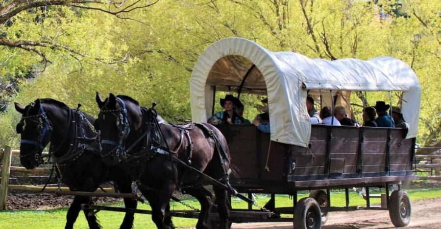 Jackson: Chuck Wagon Cookout and Live Show - Practical Details and What to Know