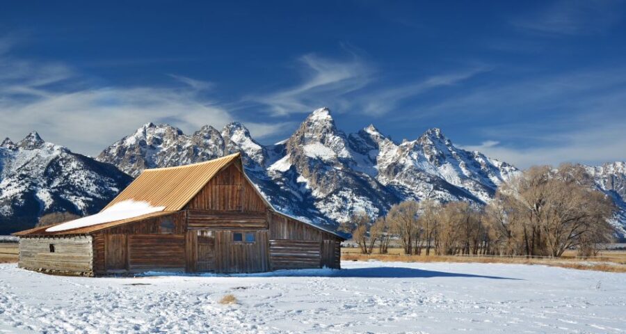 Jackson: Grand Teton, Bighorn Sheep, and Petroglyphs Tour - Analyzing the Value