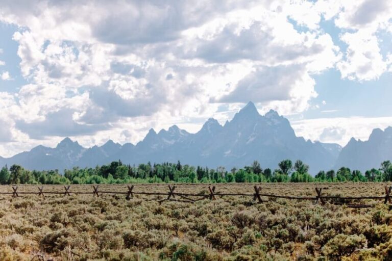 Jackson: Grand Teton Sunrise Safari with Naturalist Guide - What You Need to Know Before Booking