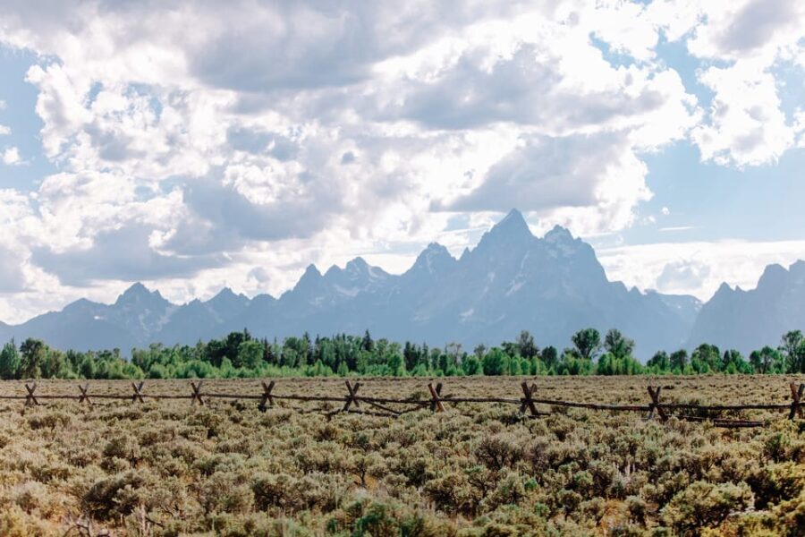 Jackson: Grand Teton Sunrise Safari with Naturalist Guide - What You Need to Know Before Booking