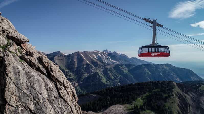 Jackson Hole: Aerial Tram and Gondolas Admission Ticket - The Experience: From Ticket to Summit — What You Can Expect