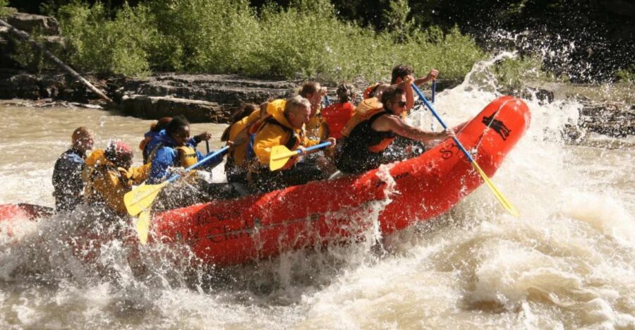 Jackson Hole: Snake River Whitewater Rafting Tour - Final Thoughts: Is This the Right Tour for You?