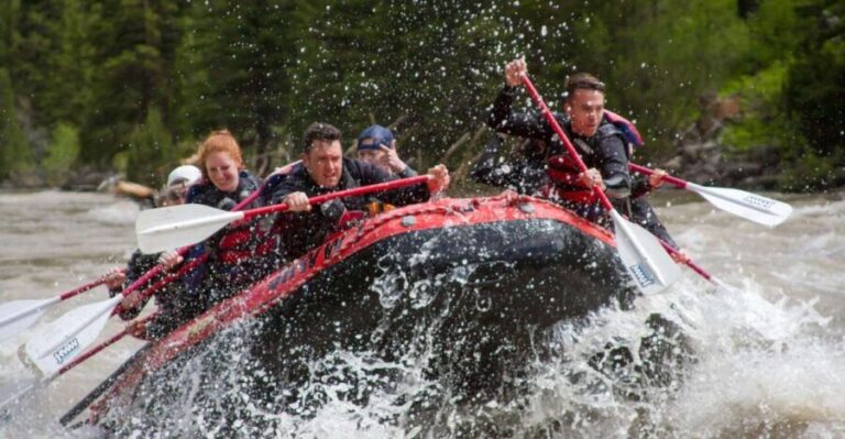 Jackson: Snake River Class 2-3 Whitewater Rafting Adventure - What’s Included and What to Consider