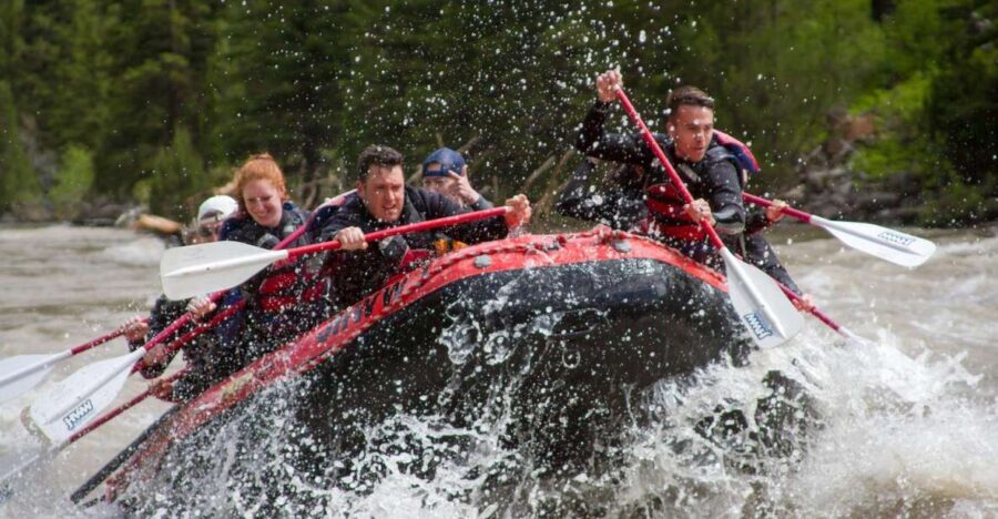 Jackson: Snake River Class 2-3 Whitewater Rafting Adventure - What’s Included and What to Consider