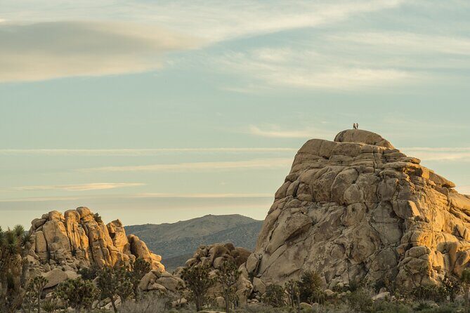 Joshua Tree's Hidden Valley Self-Guided Walking Tour - Final Thoughts