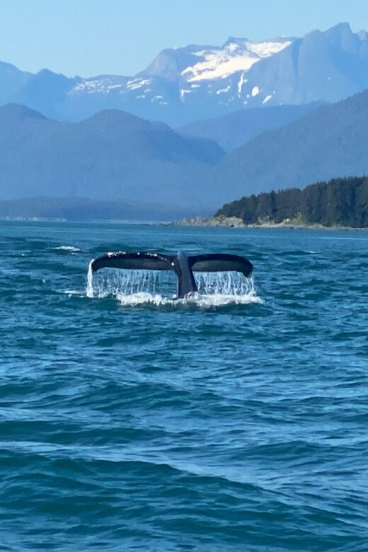 Juneau: Mendenhall Glacier and Whale Watching Tour - A Deep Dive into the Juneau Glacier and Whale Watching Tour