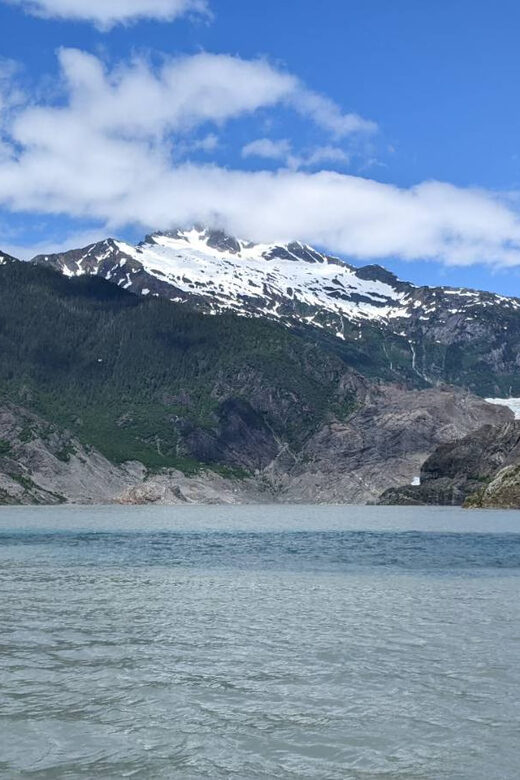 Juneau: Mendenhall Glacier Waterfall & Whale Watching Tour - A Deep Dive into the Tour Experience