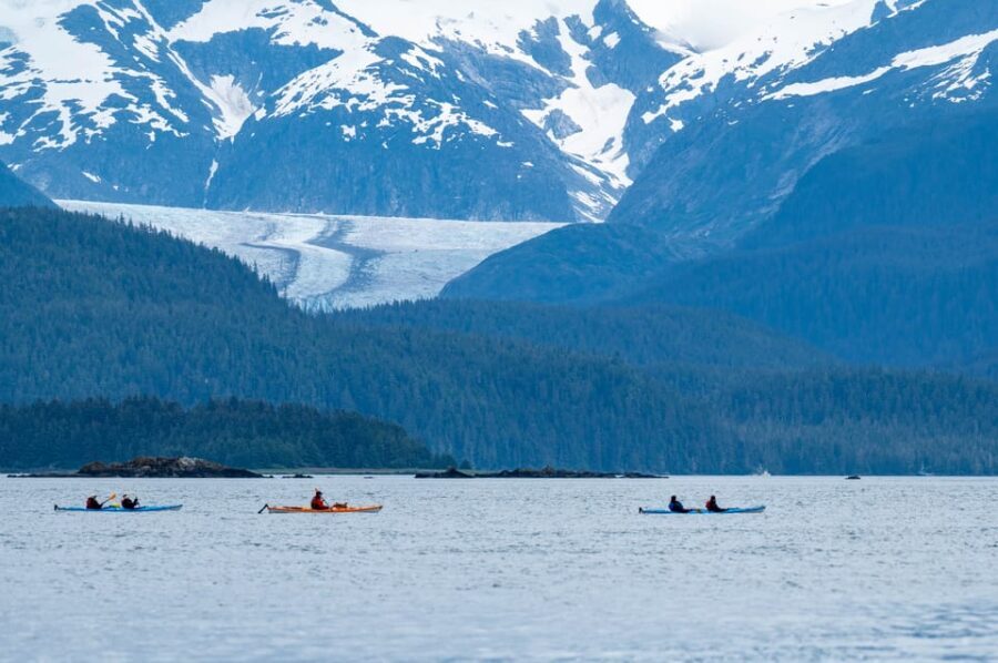 Juneau: Paddle with Whales Kayak Adventure - The Detailed Itinerary