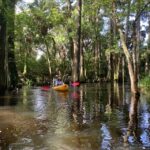 Jupiter: Wild and Scenic Loxahatchee River Kayak Tour - The Experience in Practice: What Reviewers Say