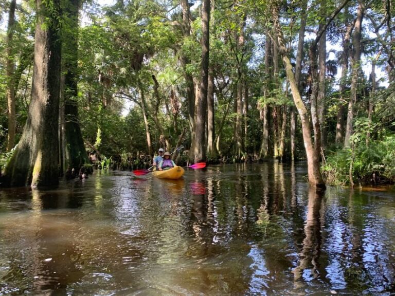Jupiter: Wild and Scenic Loxahatchee River Kayak Tour - The Experience in Practice: What Reviewers Say