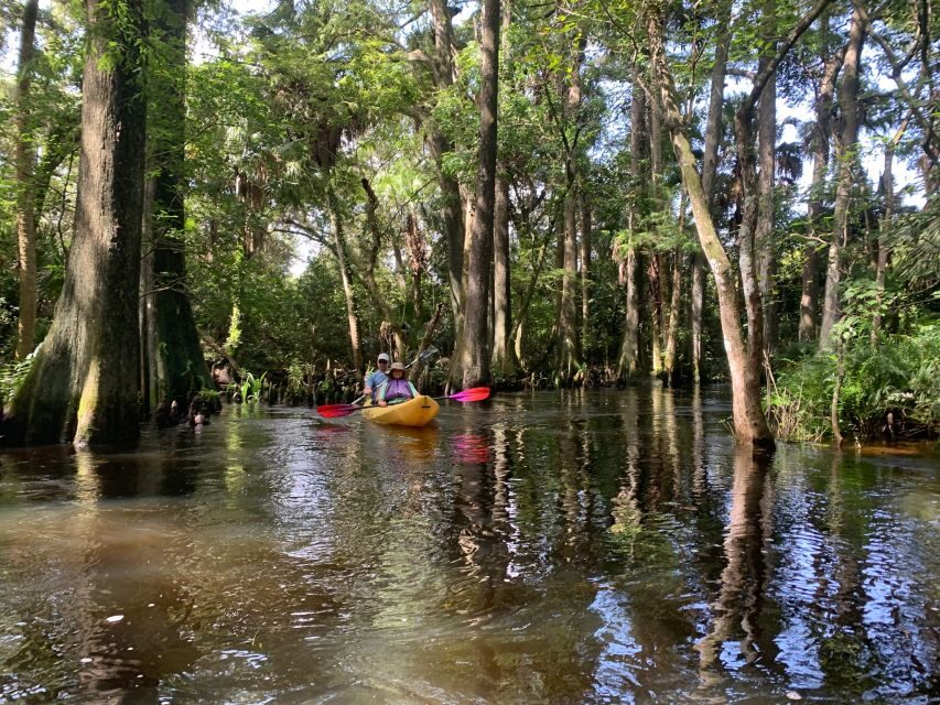 Jupiter: Wild and Scenic Loxahatchee River Kayak Tour - The Experience in Practice: What Reviewers Say