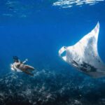 Kailua-Kona: Manta Ray Snorkeling with Hot Cocoa - Practical Details and What You Should Know