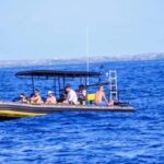 Kailua-Kona: Private Marine Charter Adventure - What to Expect from Your Marine Adventure