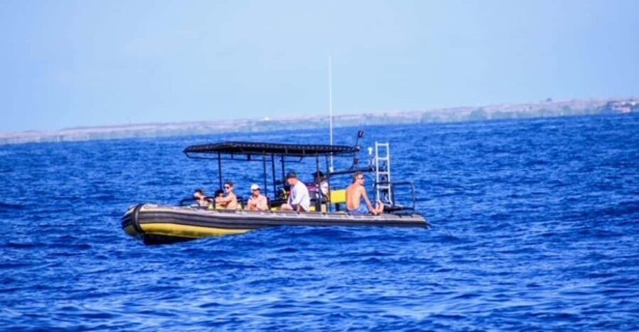 Kailua-Kona: Private Marine Charter Adventure - What to Expect from Your Marine Adventure