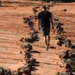 Kanab: UTV Tour with Ancient Pictographs and Sand Dunes - What to Expect on the Tour