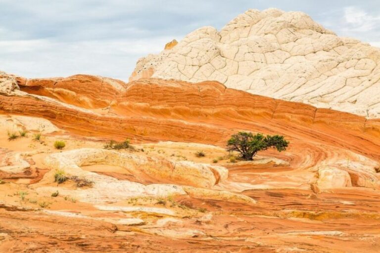 Kanab: White Pocket Tour & Hike - Value and Pricing Analysis