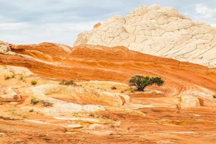 Kanab: White Pocket Tour & Hike - Value and Pricing Analysis