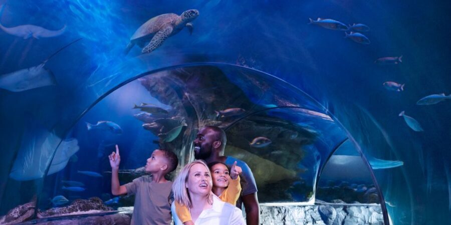 Kansas City: SEA LIFE Kansas City Aquarium General Admission - Exploring the Exhibits: A Closer Look