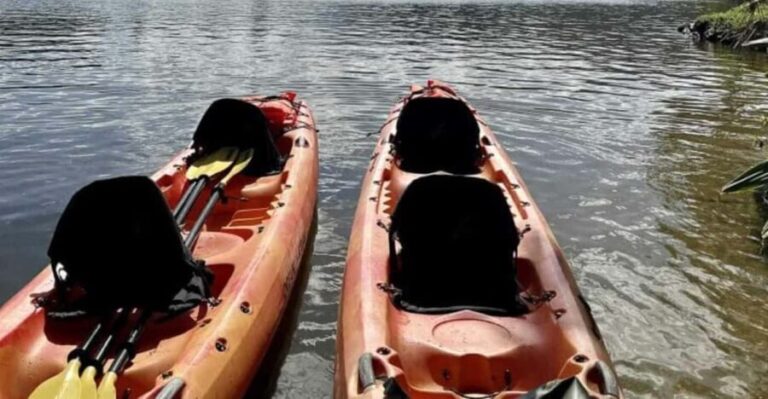 Kauai: Guided Kayak and Hike to Secret Falls - What to Know Before You Go