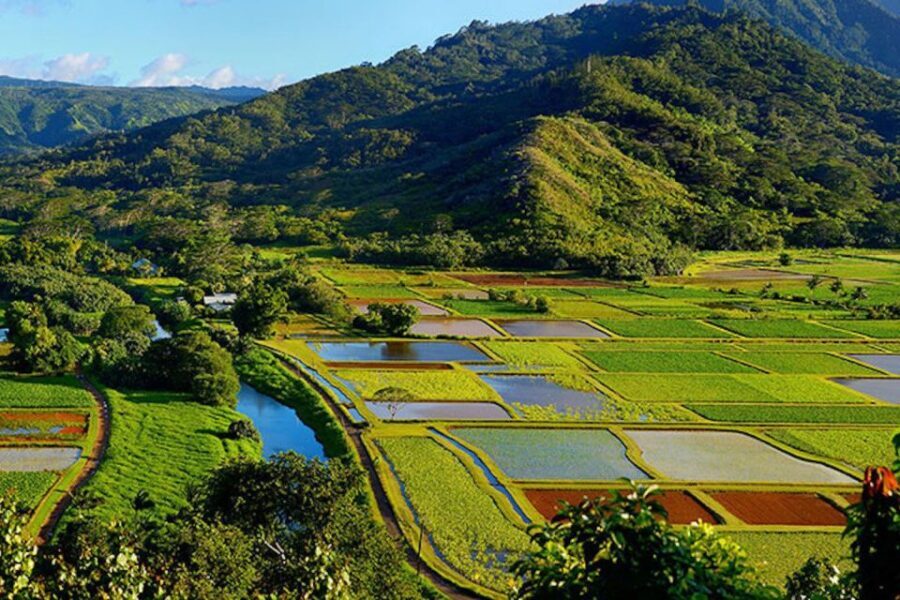 Kauai: Highlights & Movie Sites - What We Love About This Tour