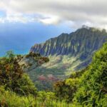 Kauai Island Private Guided Tour-Waimea Canyon from Lihue/Kapaa - Transportation and Overall Experience