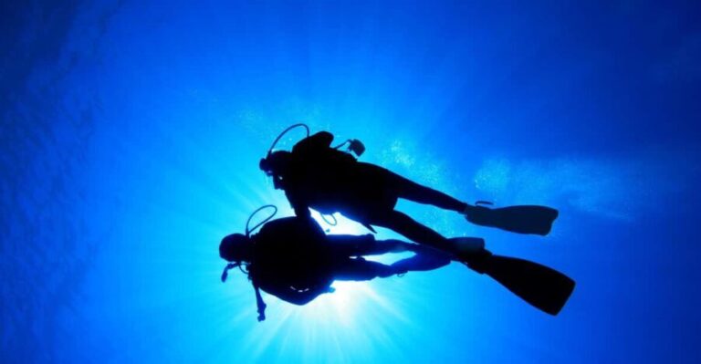 Kauai: Morning 2 Tank Boat Dive for Experienced Divers - Cost and Value