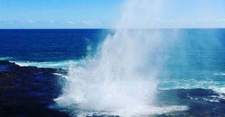 Kauai: Waimea Canyon and Waterfall Adventure Day Tour - What’s Included and What You Should Know