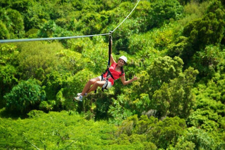 Kauai: Zipline Adventure - What’s Included and What to Prepare For