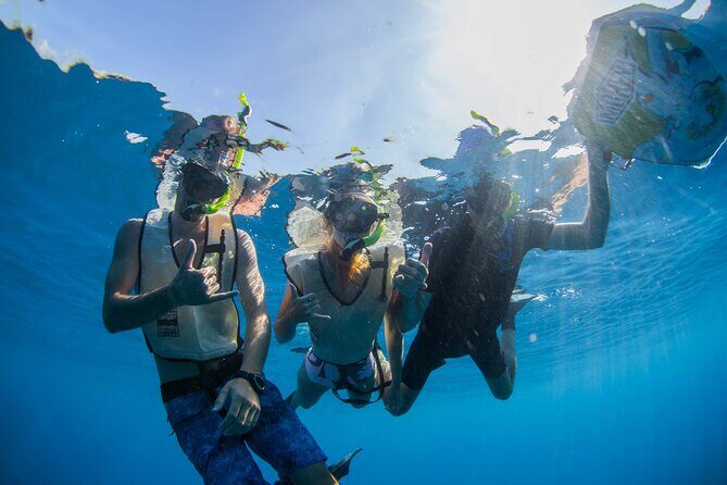 Kauai's Ultimate Guided Shore Snorkel (NO BOAT): North Anini - The Marine Ecosystem and Underwater Rewards