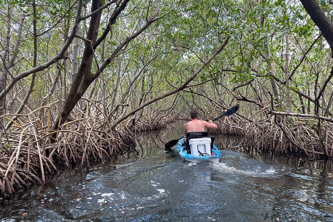 Kayak Adventure at Shell Key Preserve in Tierra Verde - Pricing and Value
